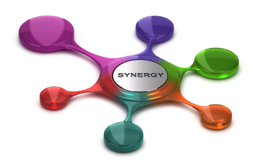 SYNERGY Consultant